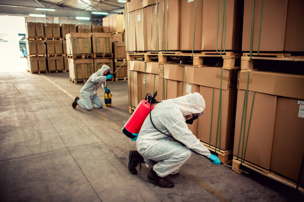 Best Best Pest Control Companies  in Pinewood, FL