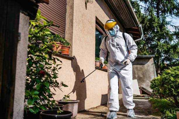 Best Wildlife Control Services  in Pinewood, FL