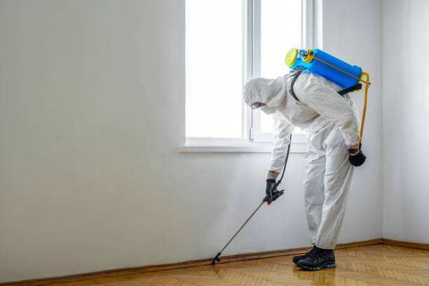 Best Bed Bug Extermination  in Pinewood, FL