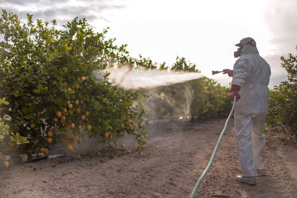 Best Best Pest Control Companies  in Pinewood, FL