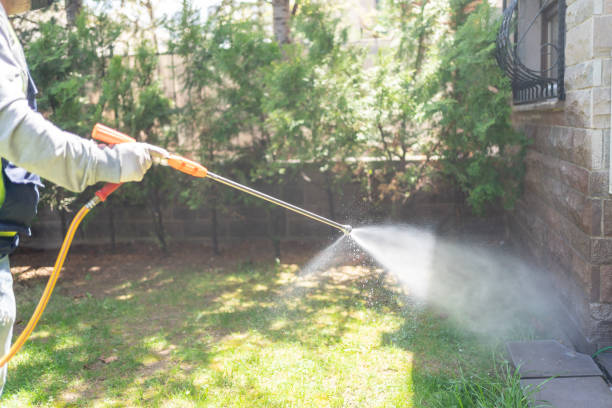 Best Affordable Pest Control Services  in Pinewood, FL