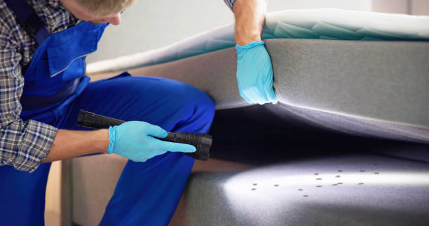 Best Rat Extermination Near Me  in Pinewood, FL