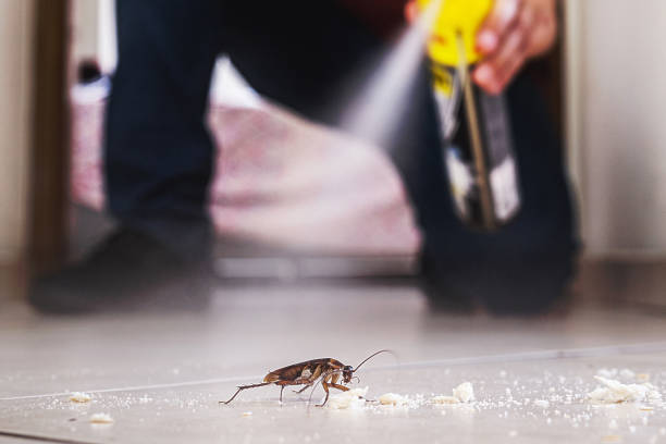 Best Affordable Pest Control Services  in Pinewood, FL