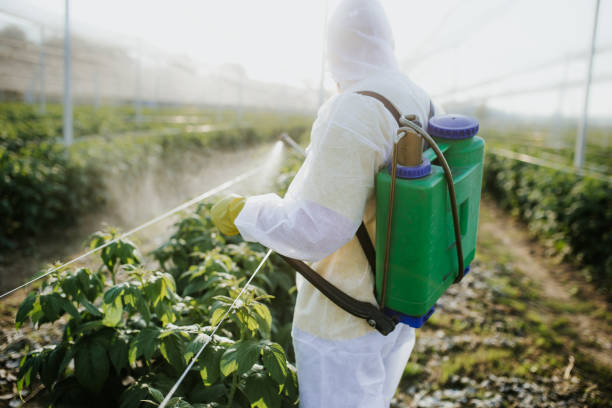 Best Cockroach Control Services  in Pinewood, FL